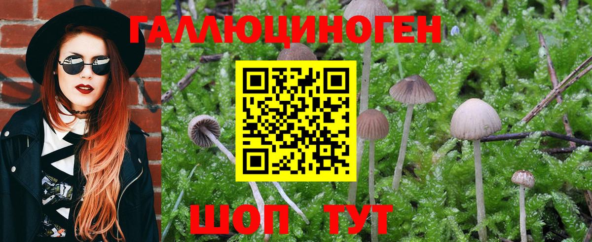 Псилоцибиновые грибы мухоморы Жуковский