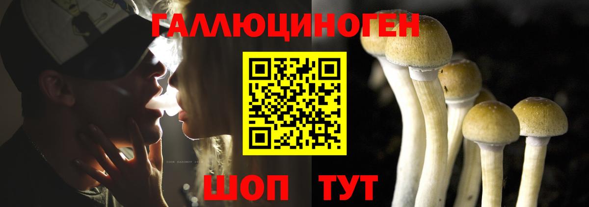 Галлюциногенные грибы Psilocybine cubensis  Жуковский  Псилоцибиновые грибы Cubensis 