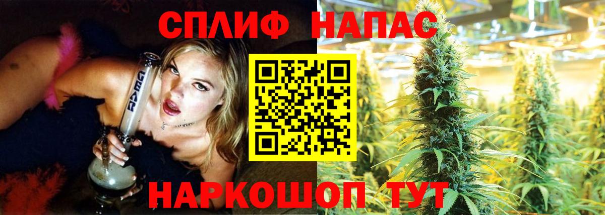 Бошки Шишки планчик  Жуковский  Канабис гибрид  Шишки марихуана LSD WEED 